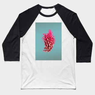 Grevillea on turquoise Baseball T-Shirt